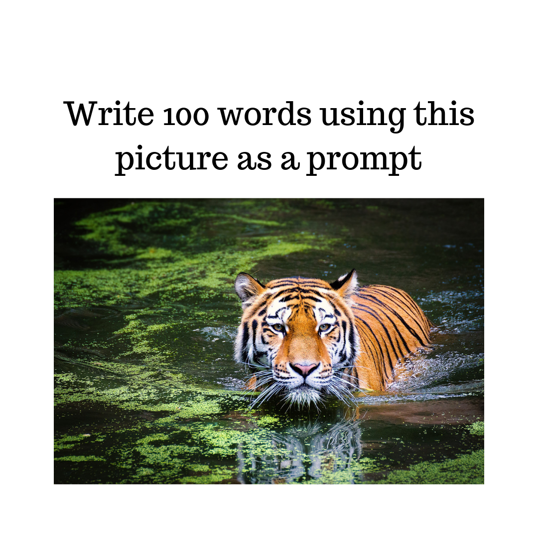 Write 100 words using this picture as a prompt (11)